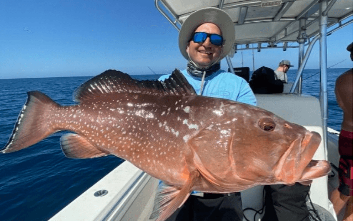 4 Hour Offshore Fishing Charter