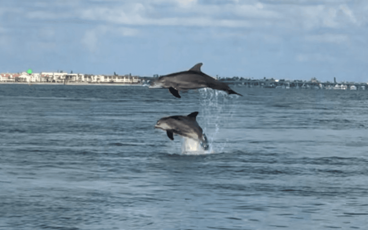 4 Hour Day on the Bay